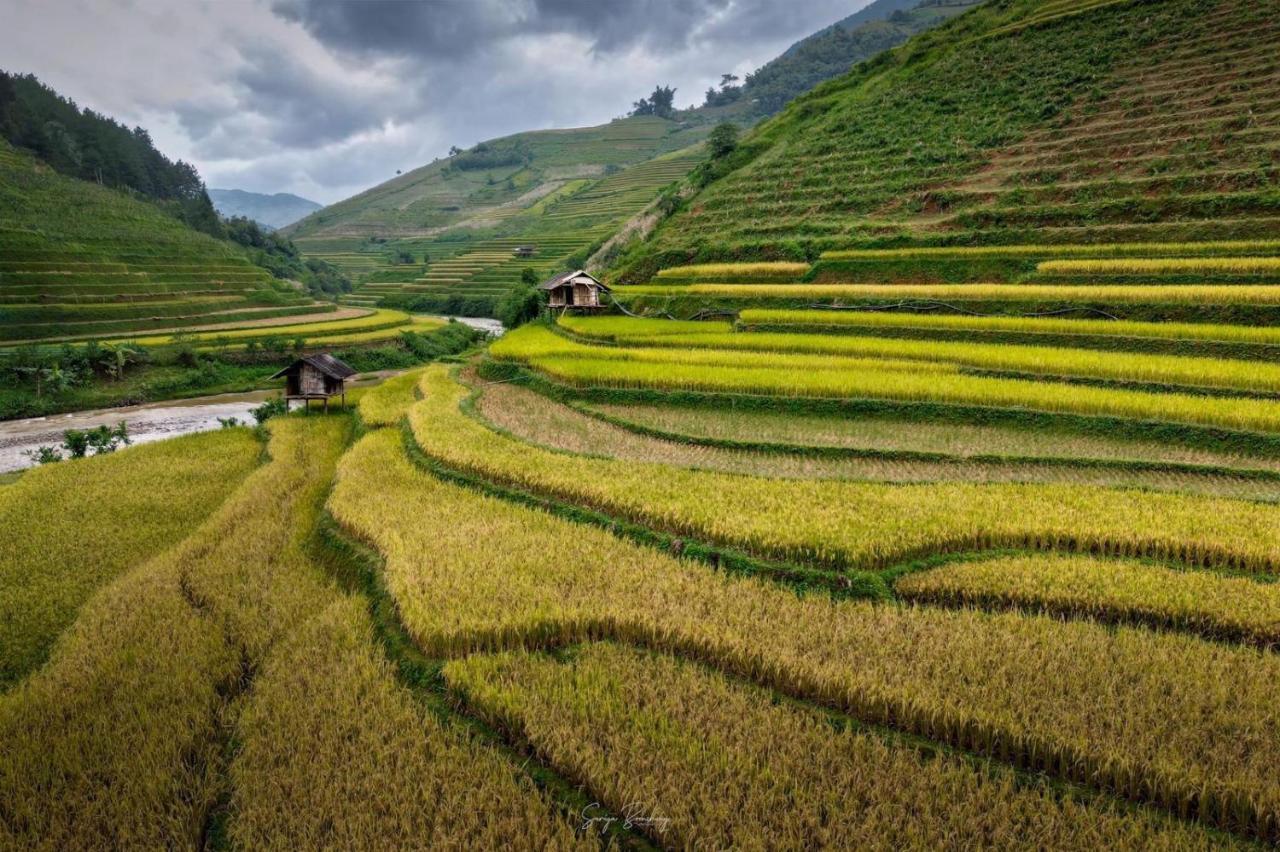 Dong Suoi H'Mong Homestay & Bungalow - Trek & Vegetarian Food Mu Cang Chai Exterior foto