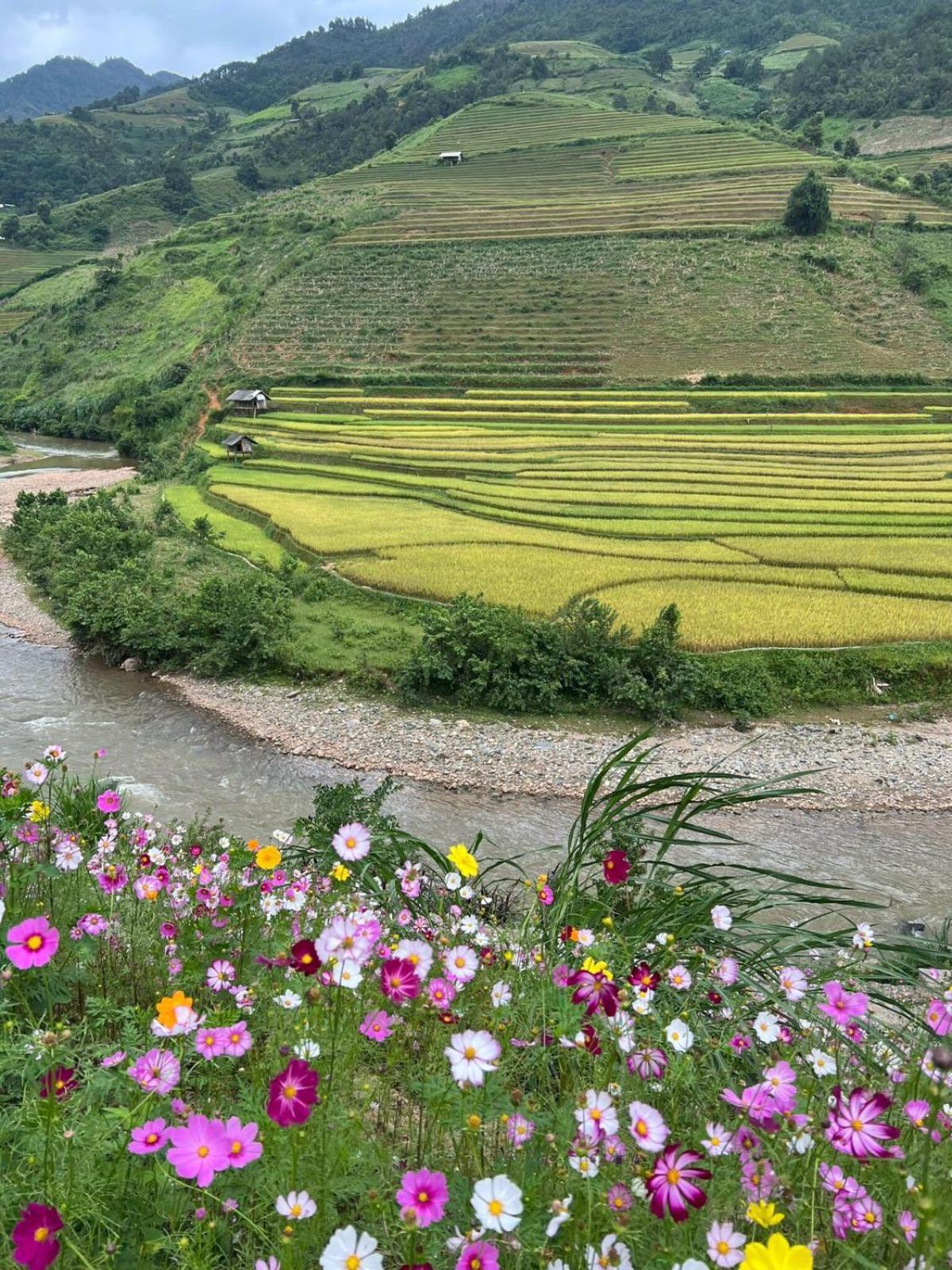 Dong Suoi H'Mong Homestay & Bungalow - Trek & Vegetarian Food Mu Cang Chai Exterior foto
